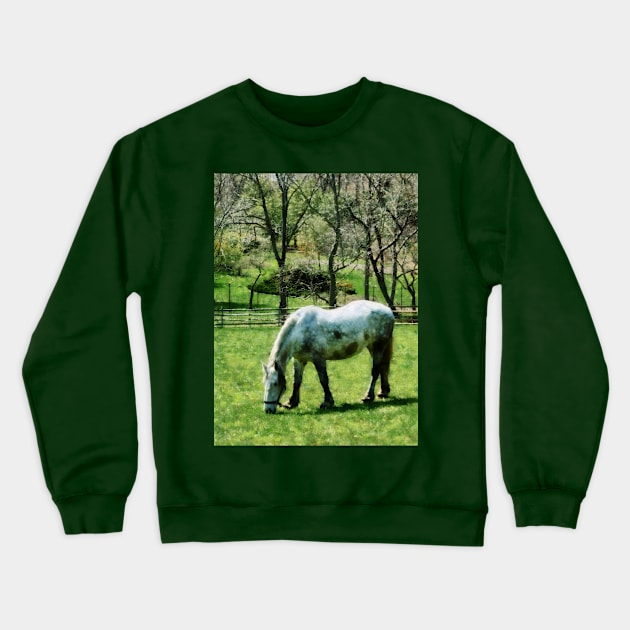 Horses - Appaloosa in Pasture Crewneck Sweatshirt by SusanSavad